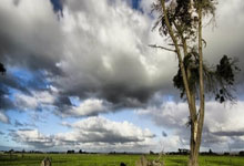 外汇贷款类业务终止环节