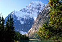 助学贷款违约怎么还